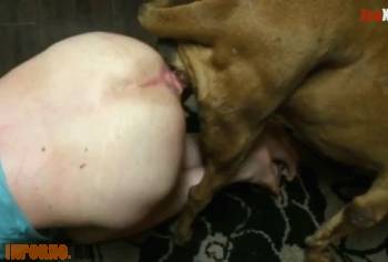 Жестокий анальный секс зоофила с собакой, скачать