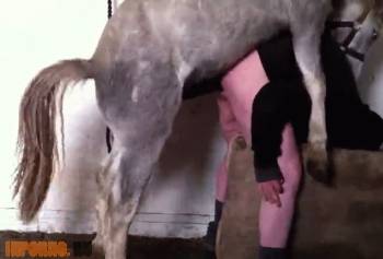 Конь выебал мужика, видео анального насилия животным